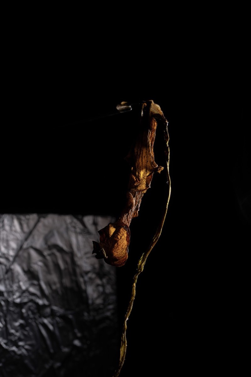Untitled — Vertical 7, 36 × 28 in