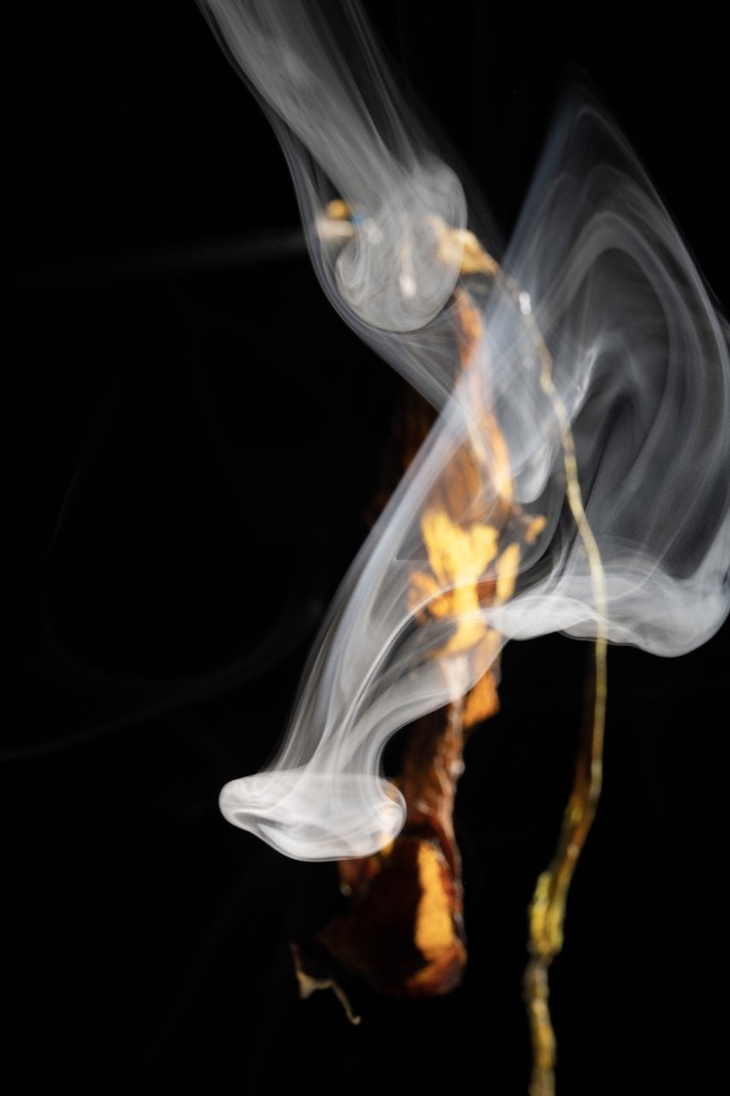 Untitled — Vertical 4, 40 × 32 in